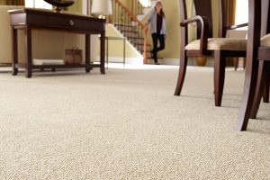 attractive carpet floors